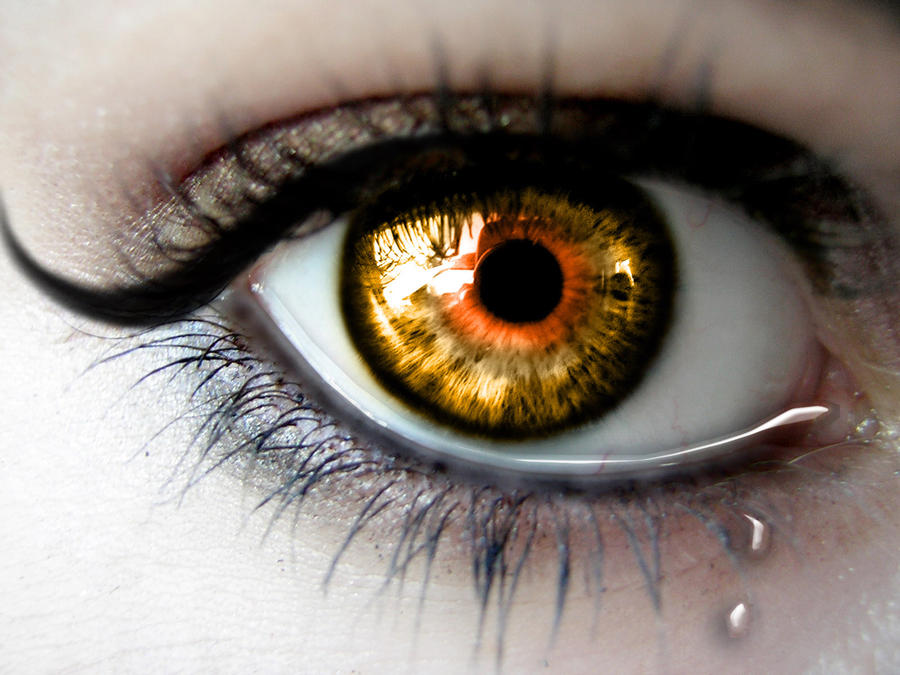 Темы глазки. Красивые глаза. Человеческий глаз. Женские глаза. Фото глаза.