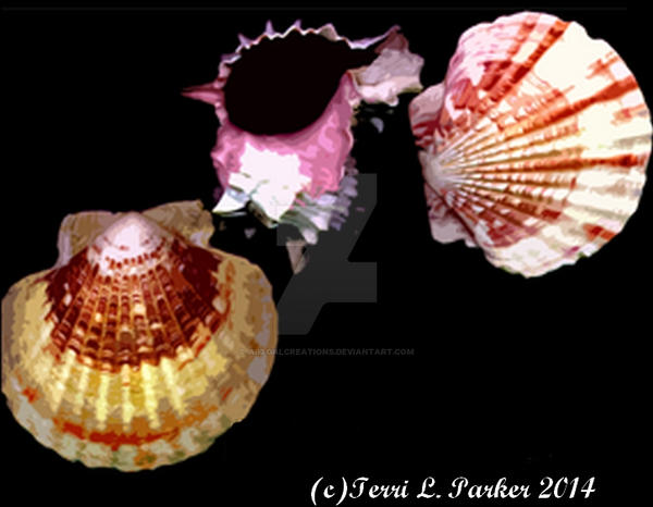 Three Shells Infographic 3 Shells by ArtgalCreations on DeviantArt