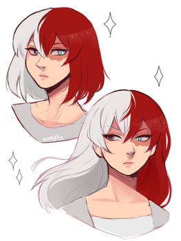 Fem!Todoroki