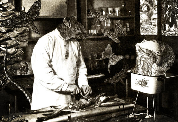 dissection by sinewaves23 on DeviantArt