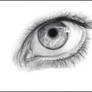 An Eye Study