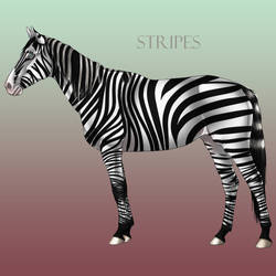 Stripes