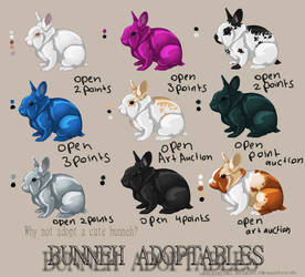 Cute Bunneh adoptables Why not adopt a bunneh?OPEN