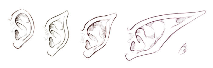 Elf Ear Drawing Reference - Nemui Wallpaper