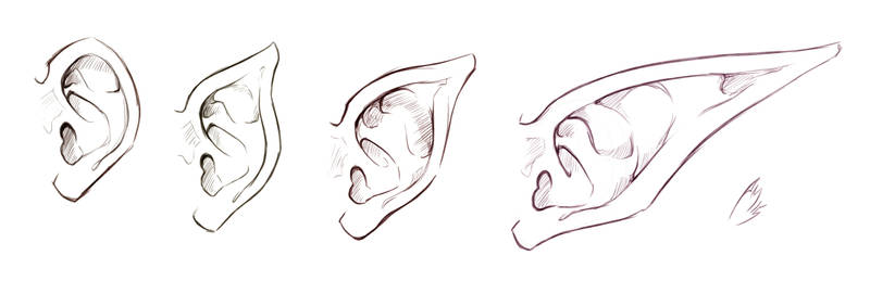 Elf Ears Drawing - Cantar Wallpaper
