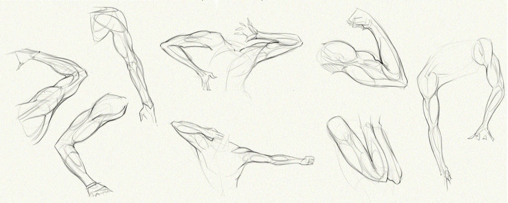 Anatomy Challenge, Part 02 - Arms by AzizlaSwiftwind