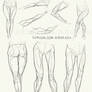 Anatomy Challenge, Part 04 - Legs