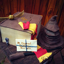 Harry Potter paraphernalia cake