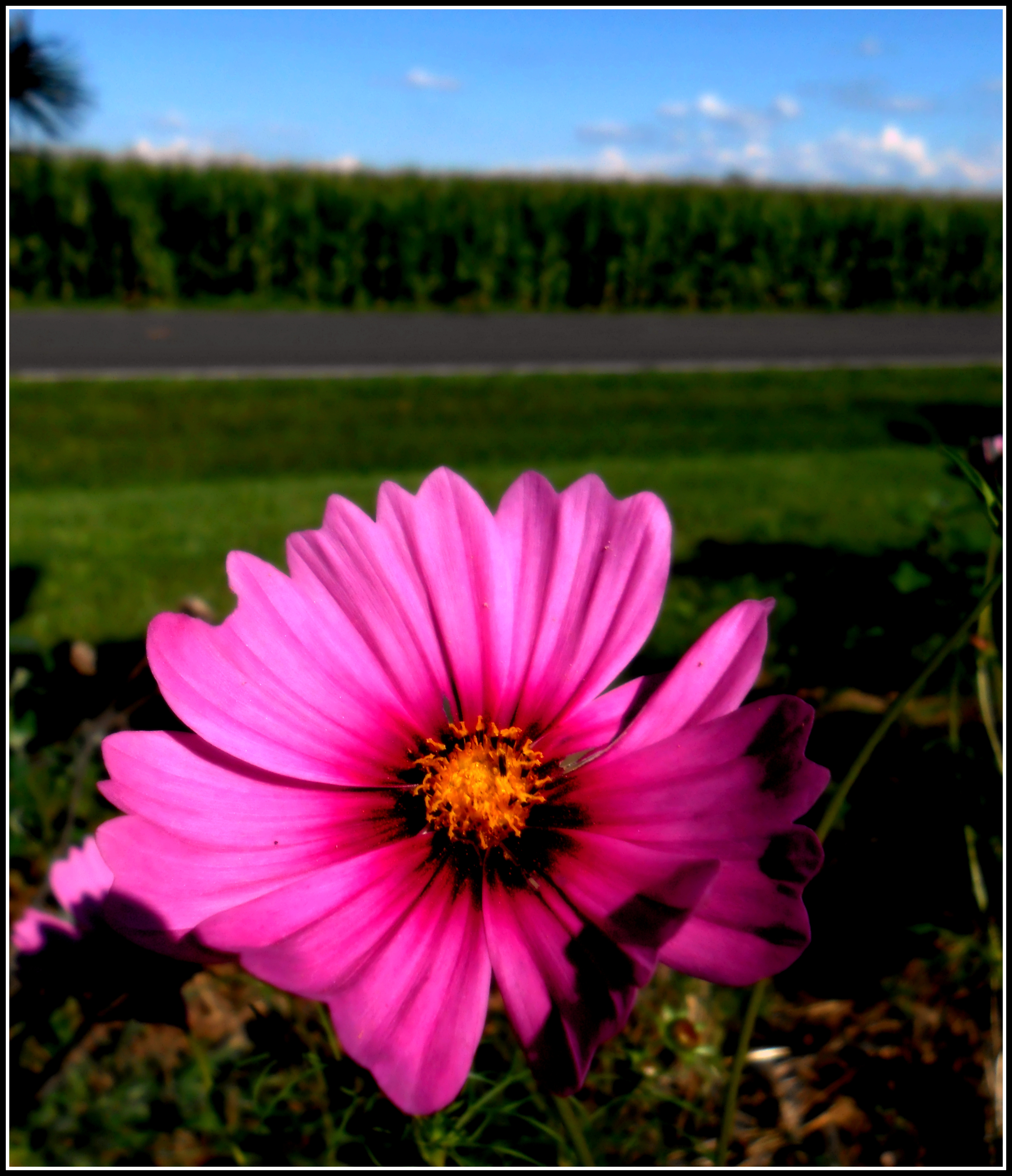 ROAD SIDE REST