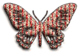 Stripeybutterfly