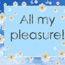 All My Pleasure