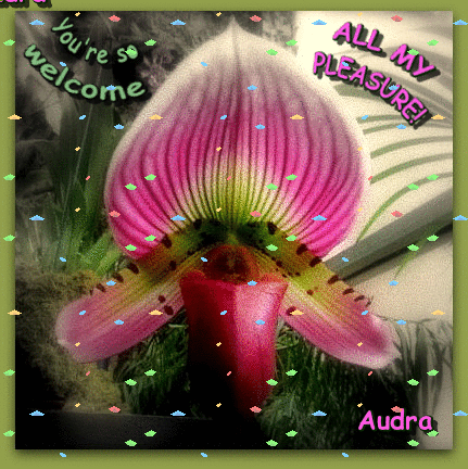YOU'RE WELCOME ANIMATED by Sugaree-33 on DeviantArt YOU'RE WELCOME ANIMATED by Sugaree-33 on DeviantArt