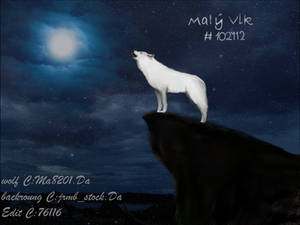 White wolf howling