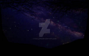 Starlit Canopy