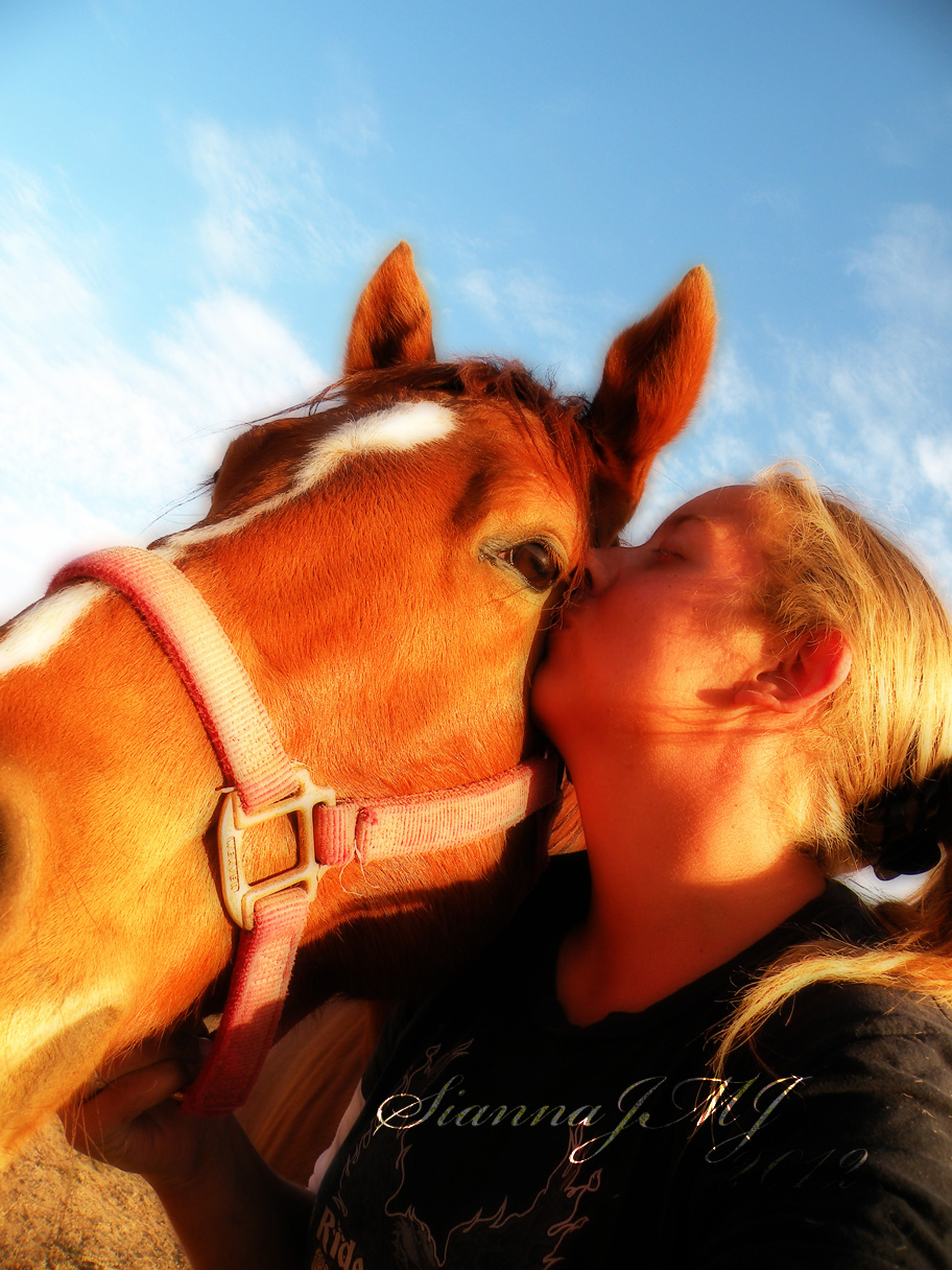 Horse Love