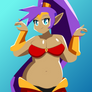 Shapely Shantae