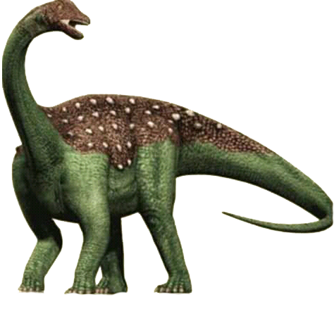 Saltasaurus by Saiyanking02 on DeviantArt