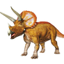 Triceratops