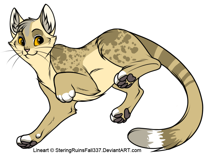 Feline Auction Adoptable .-CLOSED-.