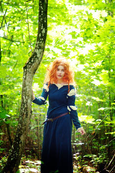 Merida - Brave 6