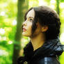 The Mockingjay