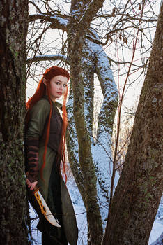 Daughter of the Forest