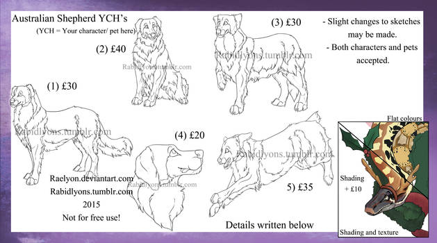 Australian Shepherd YCH's OPEN