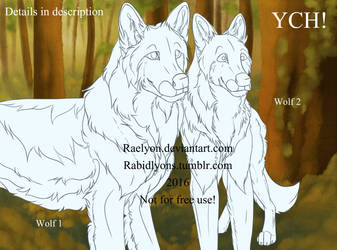 Wolf YCH Auction: OPEN