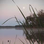 Evening at the Lake