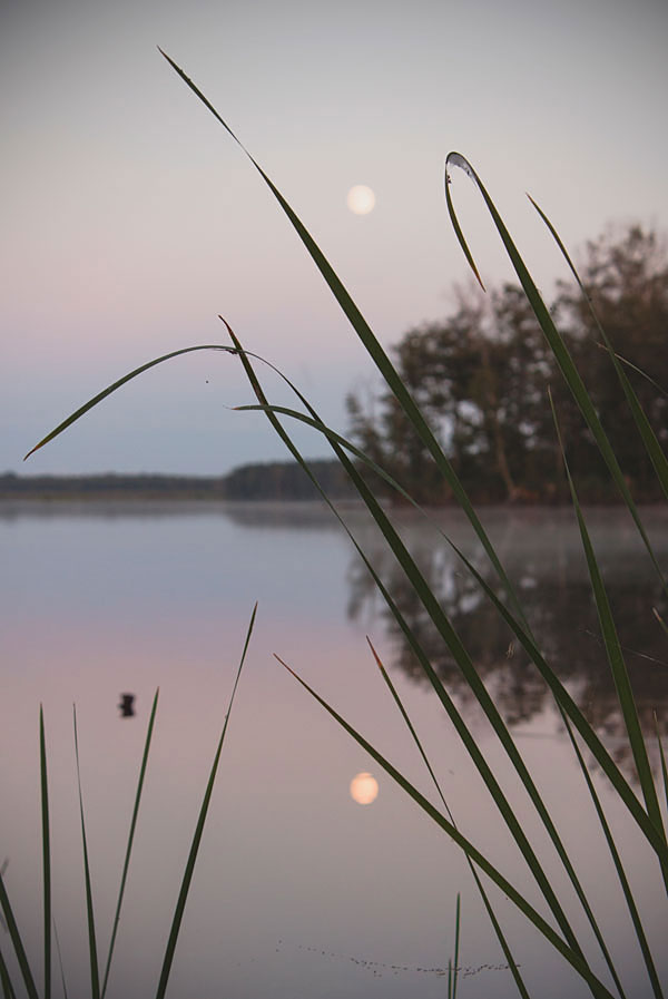 Evening at the Lake