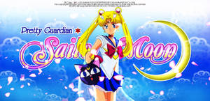Sailor Moon Artbook 2013