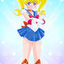 SAILOR MOON S - Disguise Sailor Moon