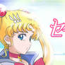 SAILOR MOON CRYSTAL - Banner Moon