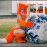 Firefox preview
