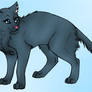 Blue russian cat  -colored-