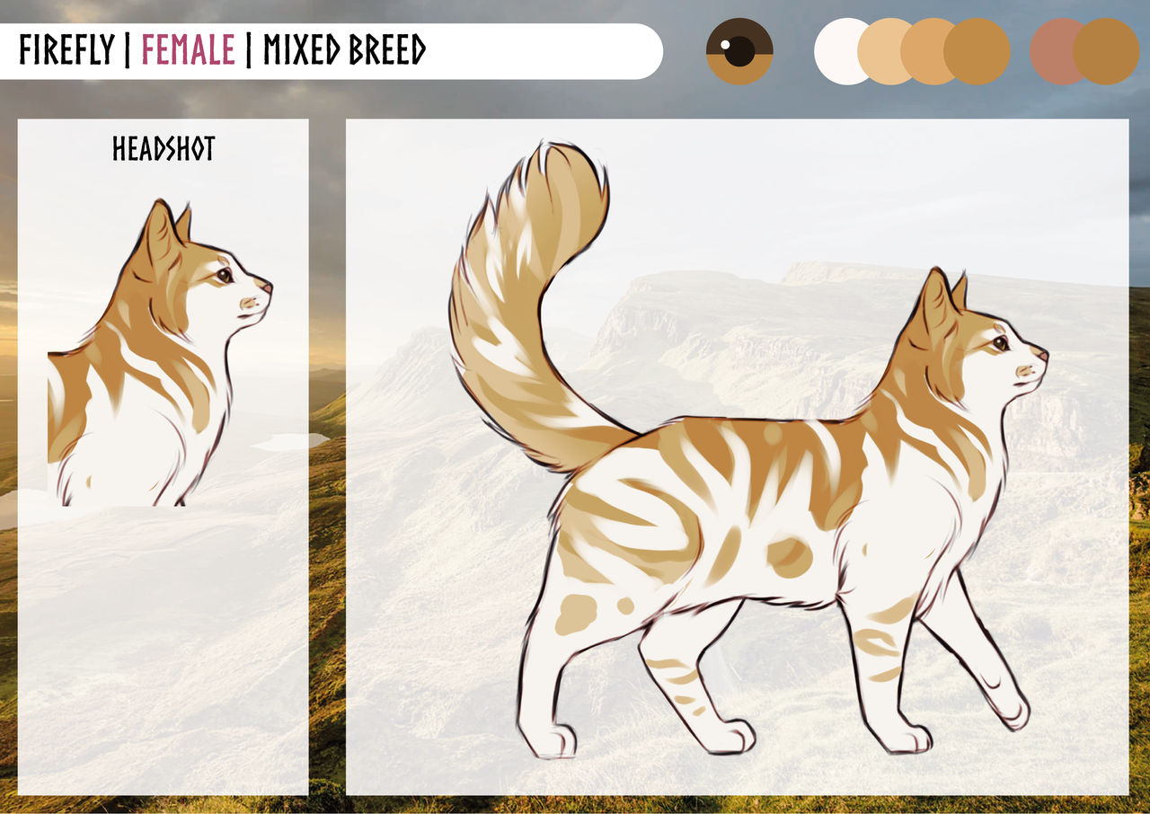 Firefly reference sheet - 2021 by Clouddancer1996 on DeviantArt