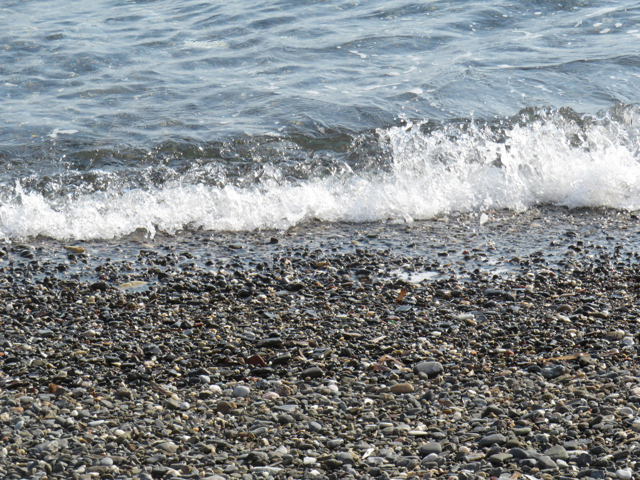 Pibble Wave Pebble Wave by Heritage-Of-Hazel on DeviantArt