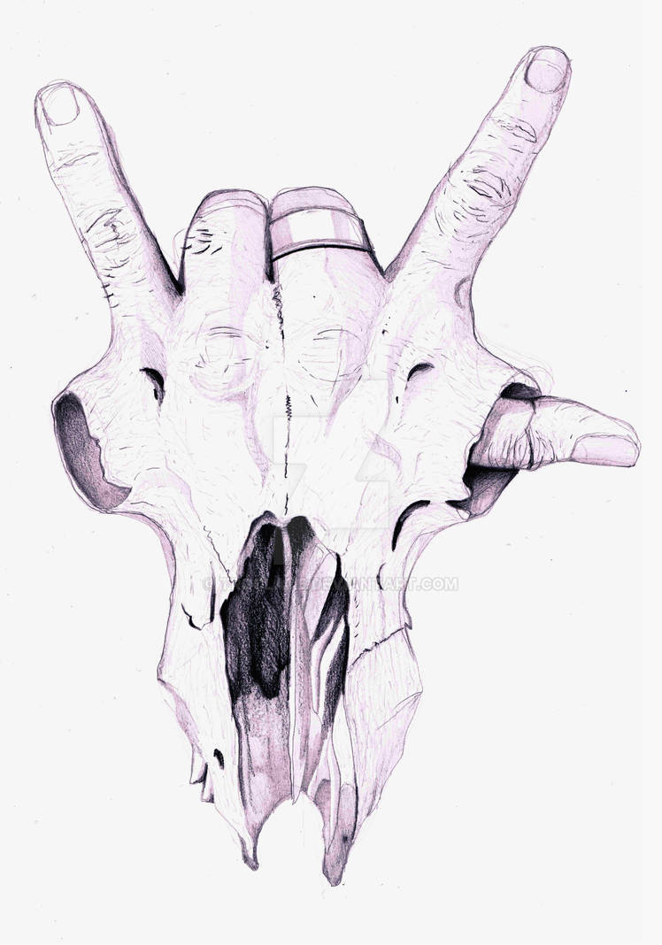 hand skull morph by Troclate on DeviantArt