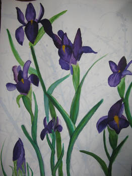 Irises