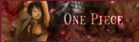 One Piece Banner