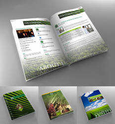 AMG Fertilizer Company Profile