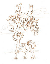 MLP::Alicorn Postal