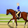 Dressage Practice