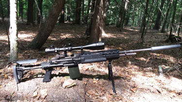 M14 EBR