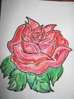 rose