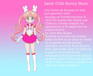 Kousagi Tsukino-Chiba,2/8:Sailor Chibi Bunny Moon