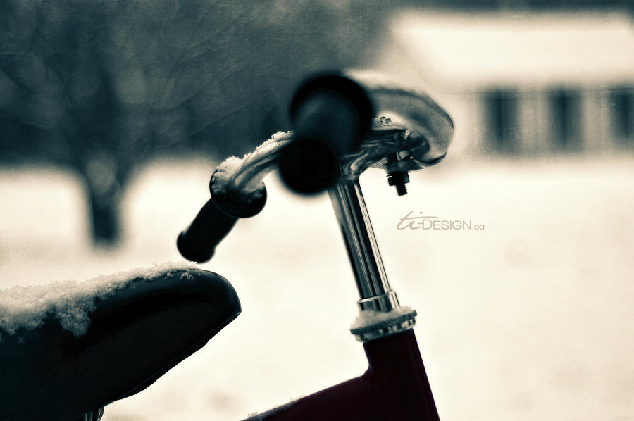 Little Red Bike in the Snow