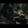 King Kong - Bamboo