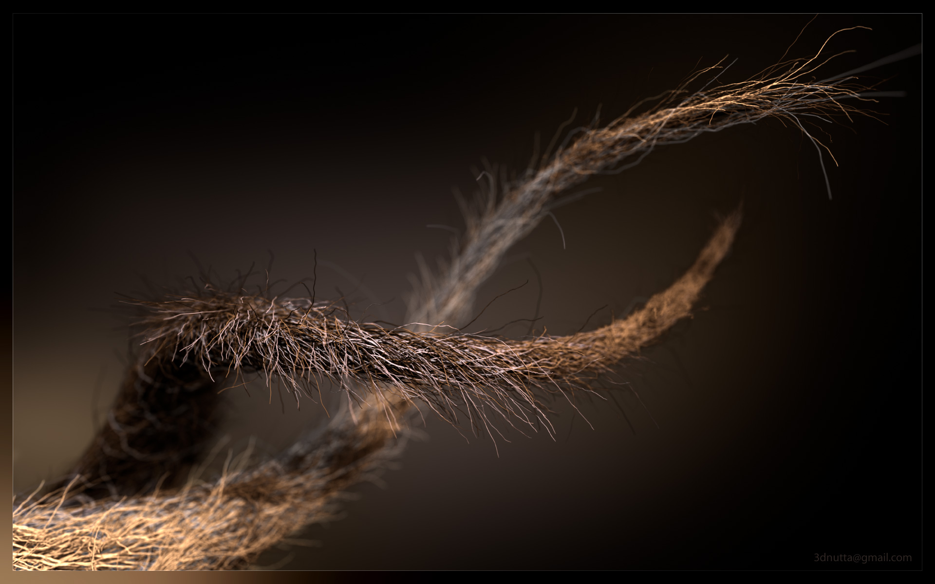 Fibers