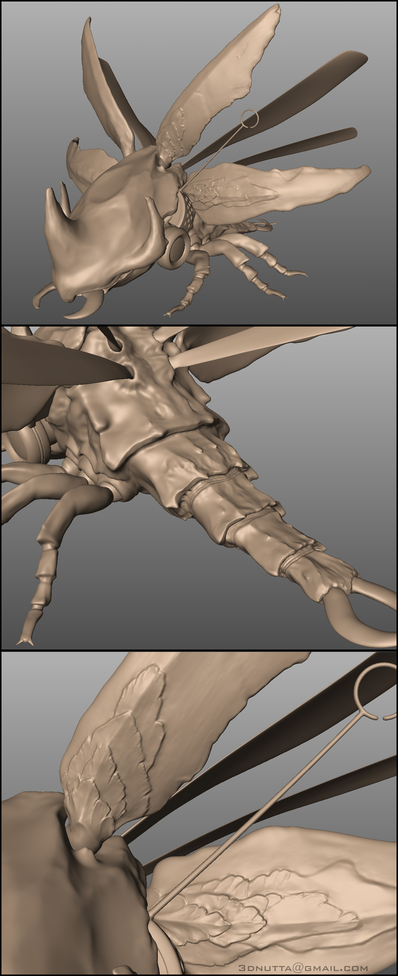 Warrior Beetle WIP 01